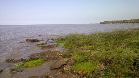 Costa Reserva Ecológica